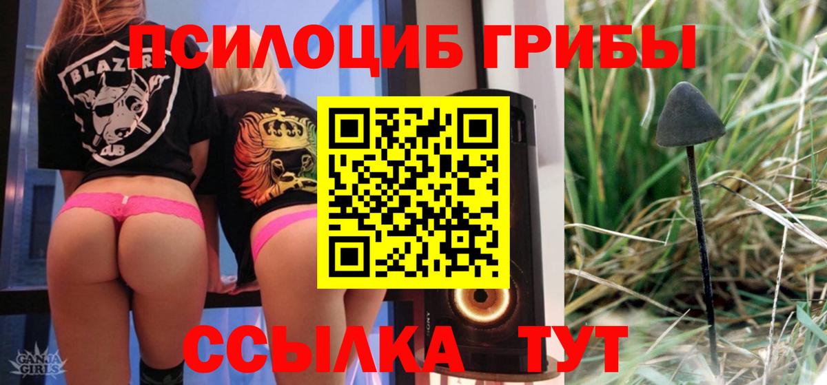 Галлюциногенные грибы прущие грибы Улан-Удэ
