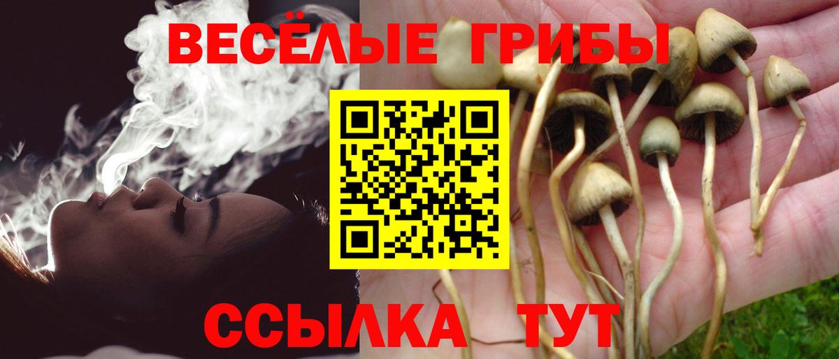 Улан-Удэ  Галлюциногенные грибы Cubensis  Вход с VPN 